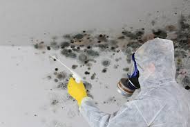  Aviston, IL Mold Prevention & Removal Pros